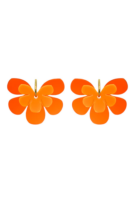 Amaliel n.° 5 A