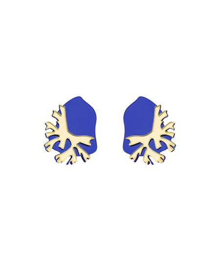 Blue Agaricia