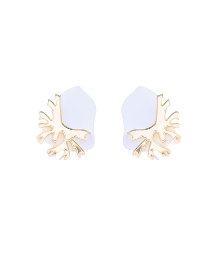 White Agaricia