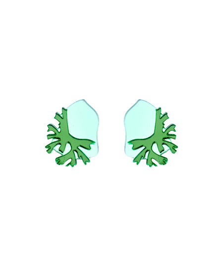 Green Agaricia