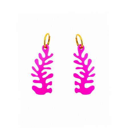 Clivosa fucsia