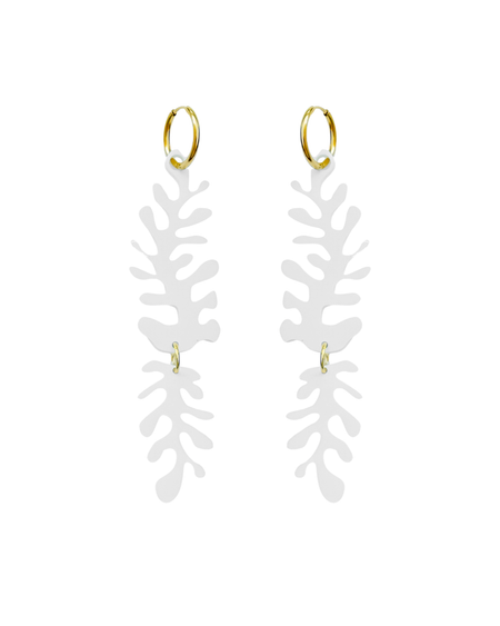 White Millepora