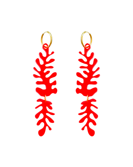 Red Millepora