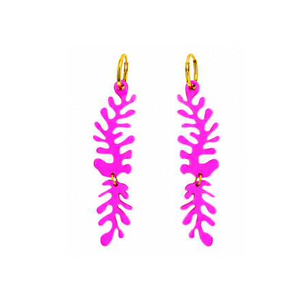 Millepora fucsia