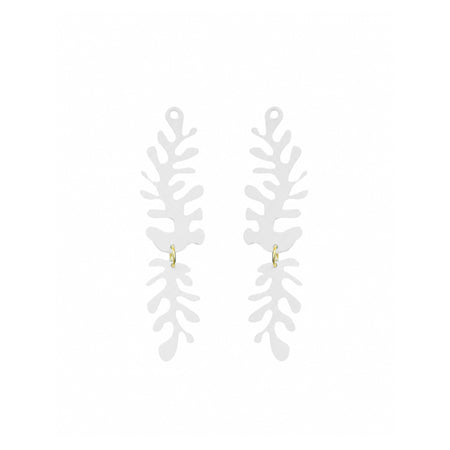White Millepora pieces