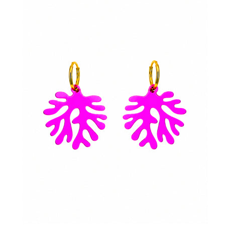 Pyros fucsia