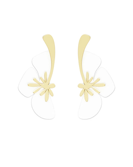 Magnolia blanca